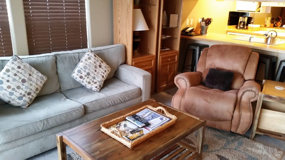 Flat-screen TV, fireplace, DVD player