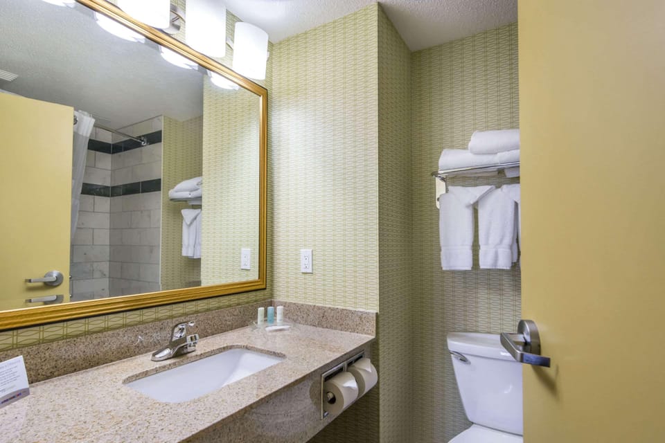 Combined shower/tub, free toiletries, hair dryer, towels