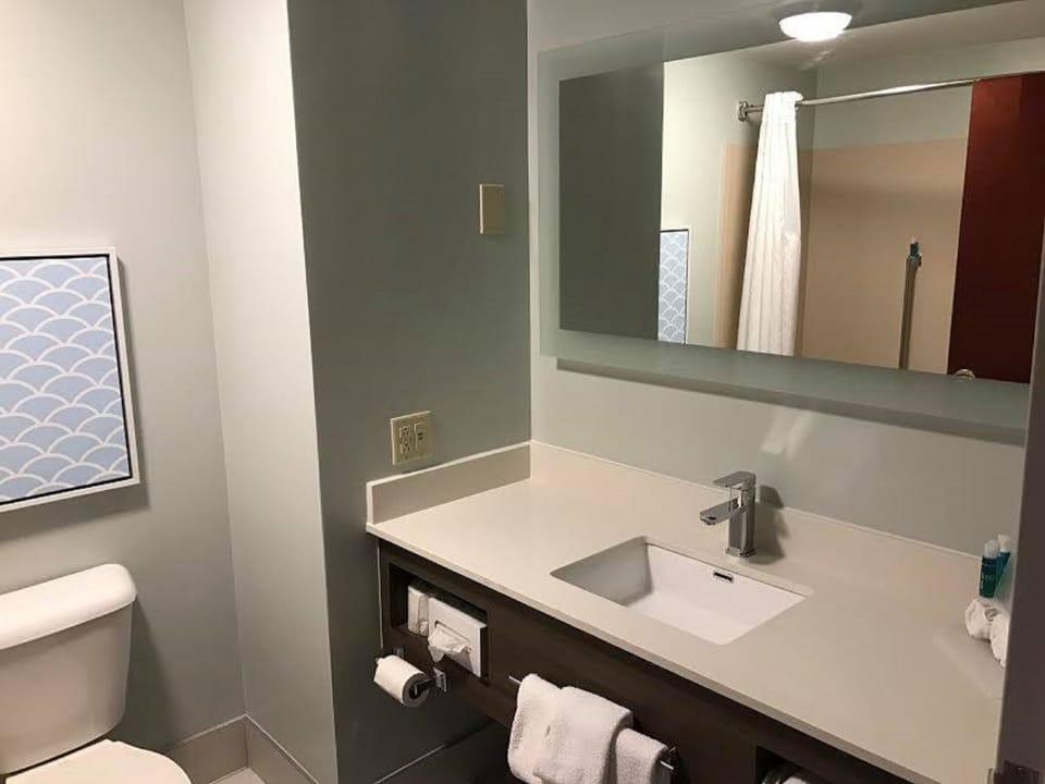 Combined shower/tub, free toiletries, hair dryer, towels