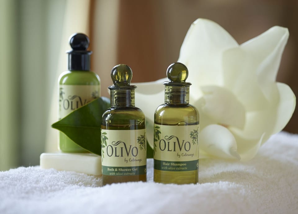 Presidential Suite | Room amenity