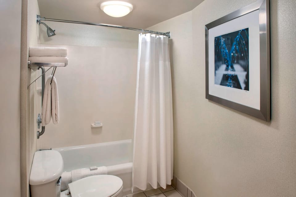 Combined shower/tub, free toiletries, hair dryer, towels