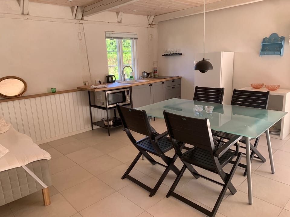 Standard Studio Suite | Private kitchen | Fridge, microwave, stovetop, toaster