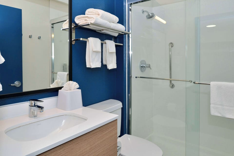 Room, 1 King Bed with Sofa bed | Bathroom shower