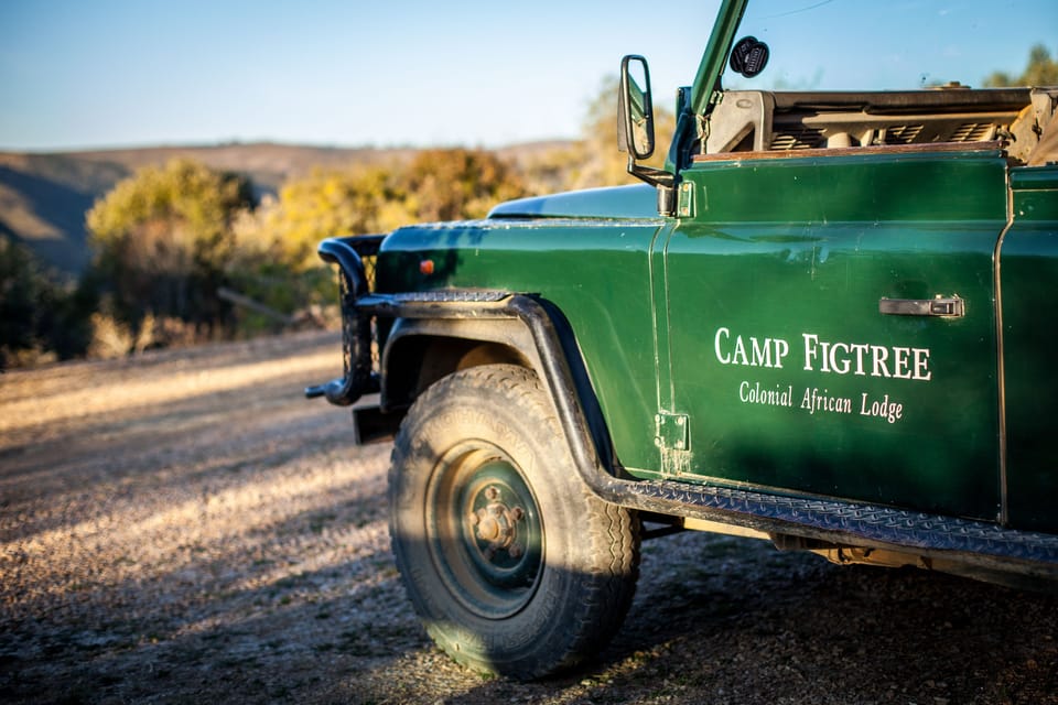Game drive