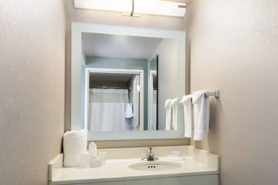 Combined shower/tub, free toiletries, hair dryer, towels