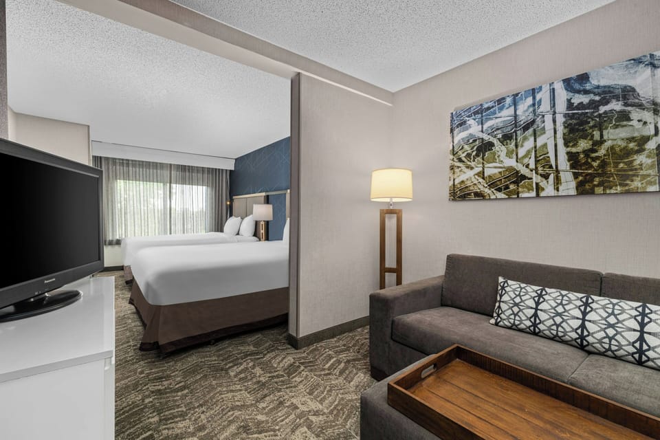 42-inch LCD TV with digital channels, TV, Netflix