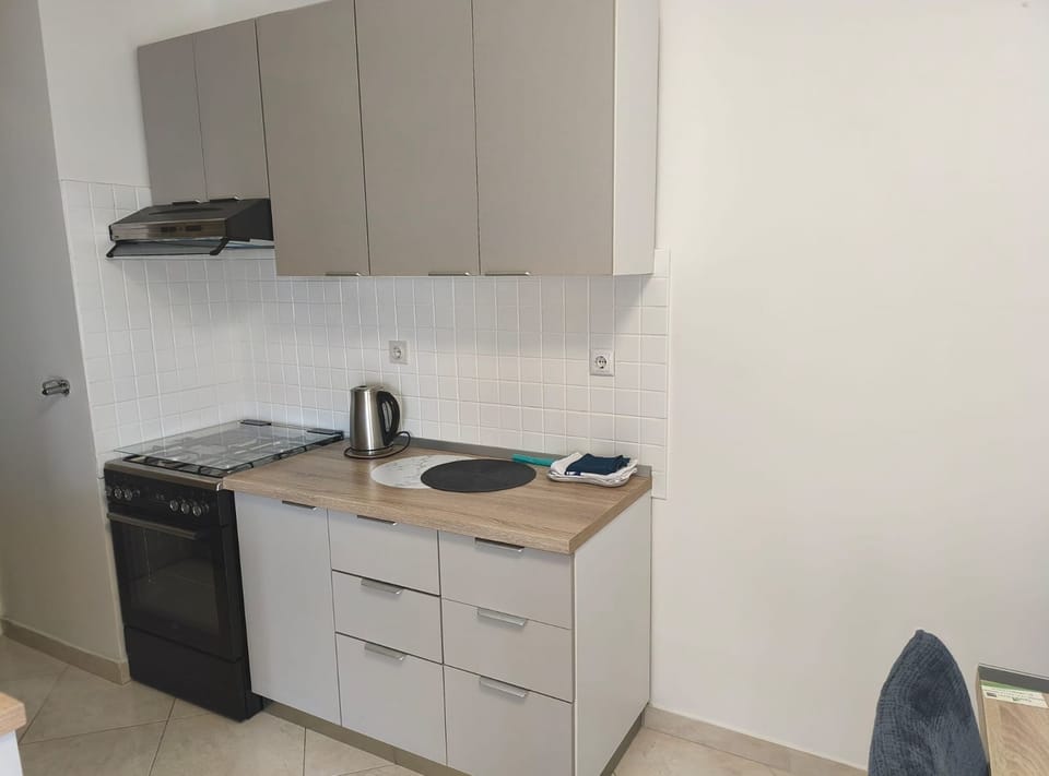 Apartment (Three Bedroom Apartment with Loggia) | Private kitchen | Fridge