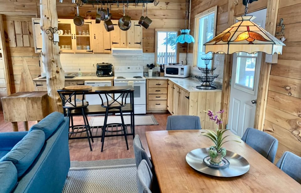 Grande Cabine | Private kitchen | Fridge, microwave, oven, stovetop