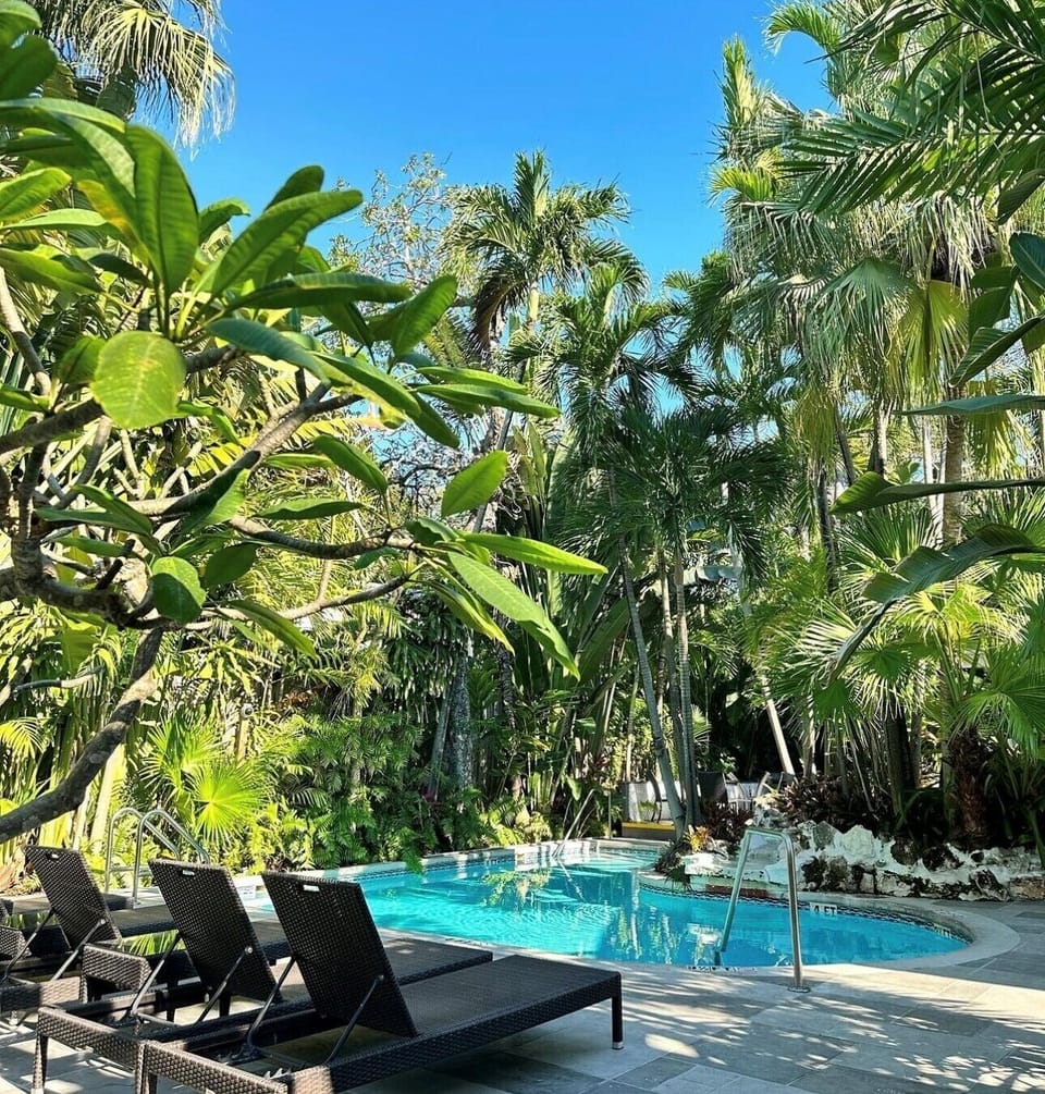 King Suite | View from property