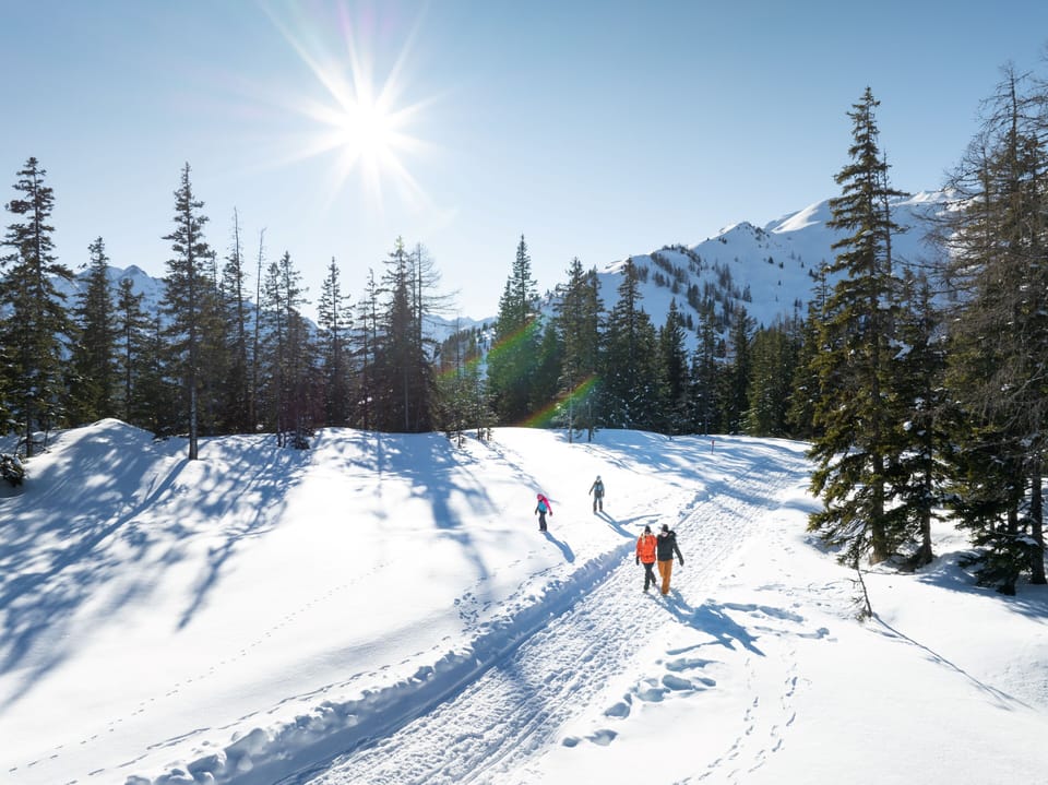 Snowshoeing
