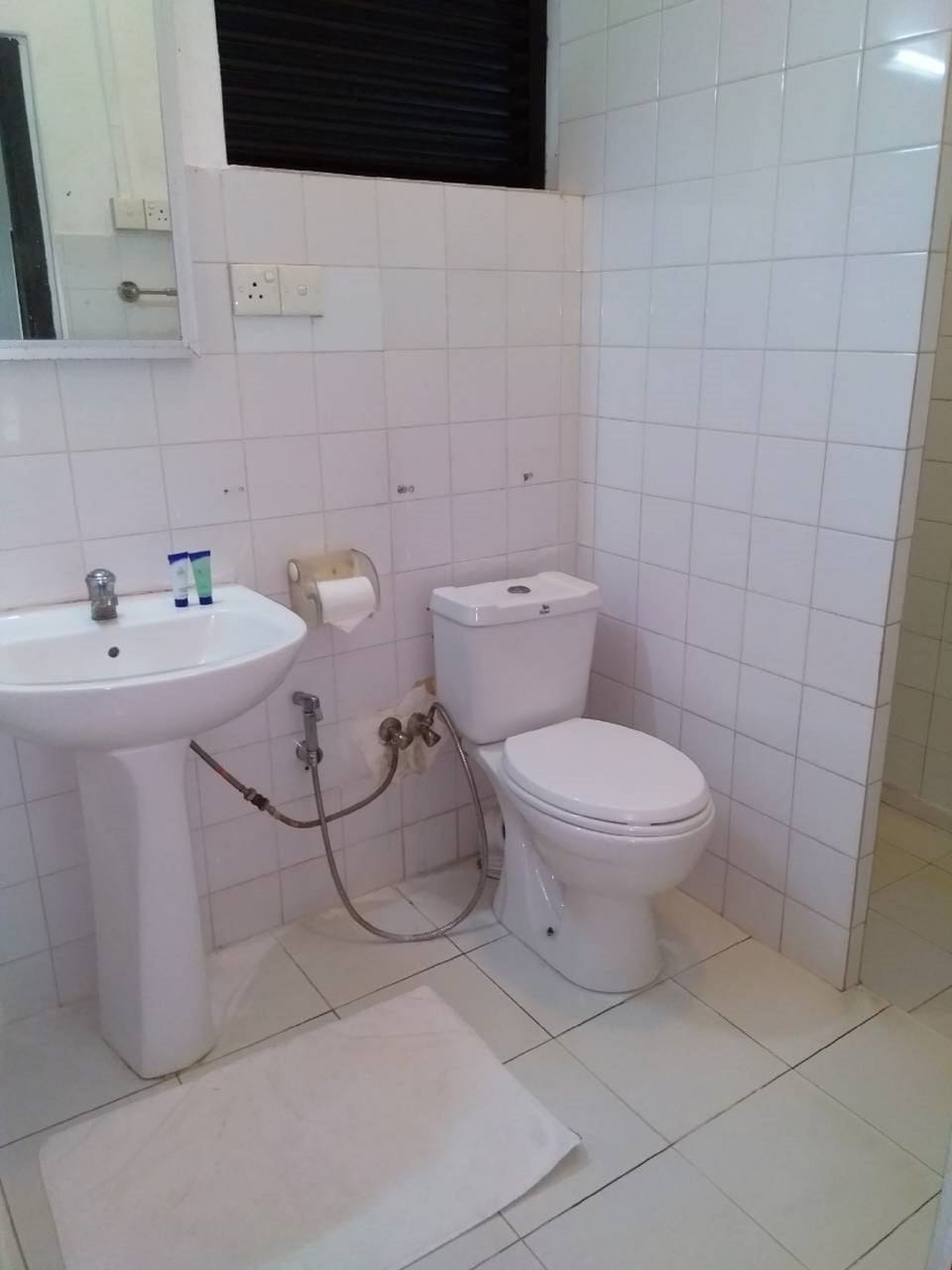 Combined shower/tub, free toiletries, hair dryer, towels