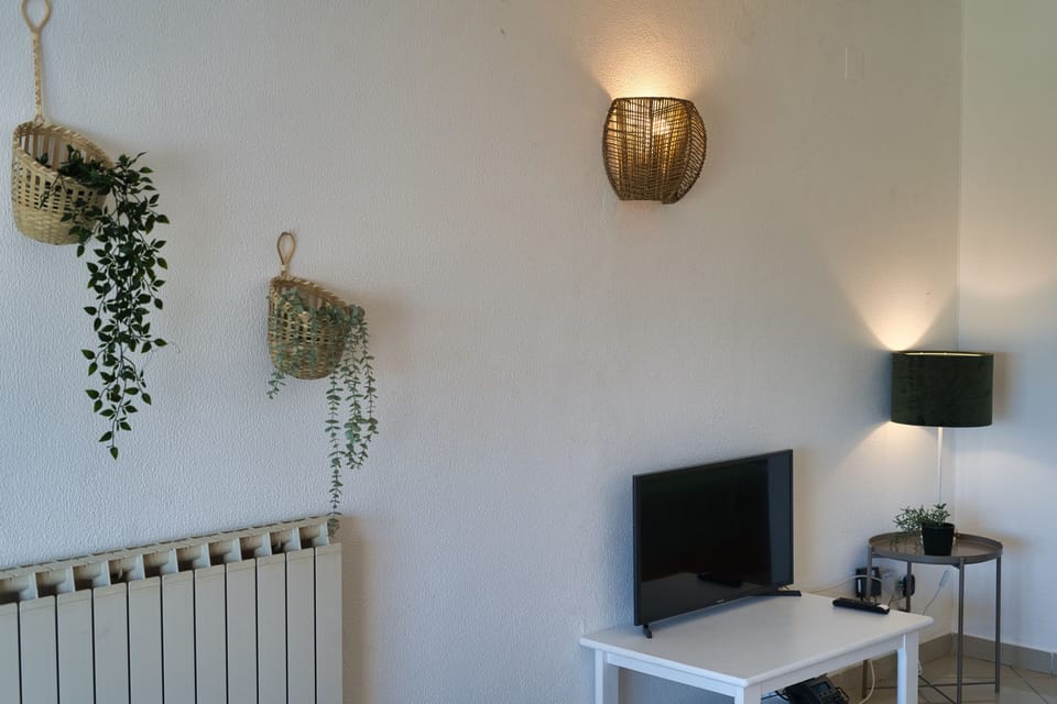 Television