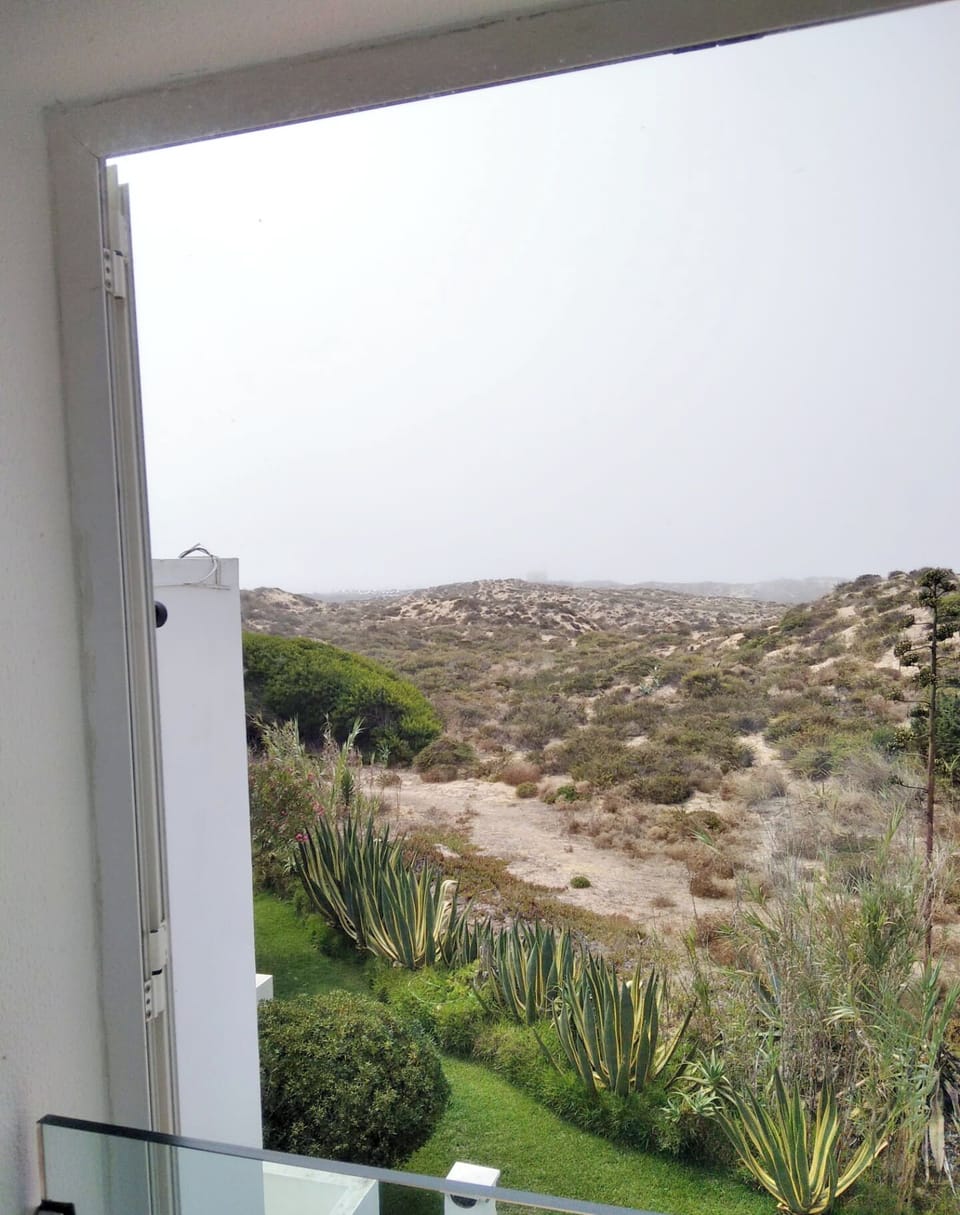 View from room