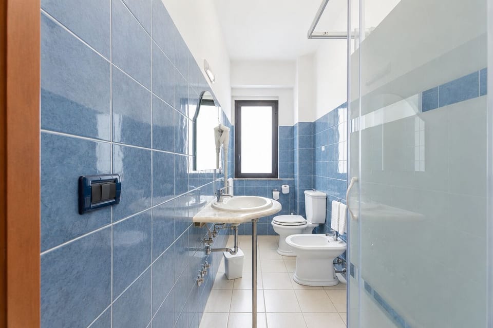 Shower, hair dryer, bidet, towels