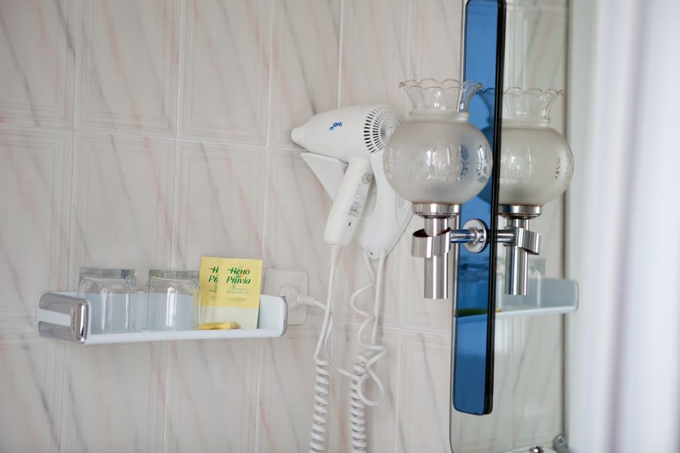 Single Room | Bathroom | Shower, hair dryer, towels