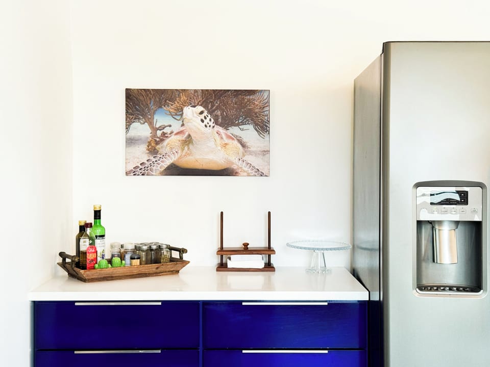 Full-size fridge, oven, stovetop, dishwasher
