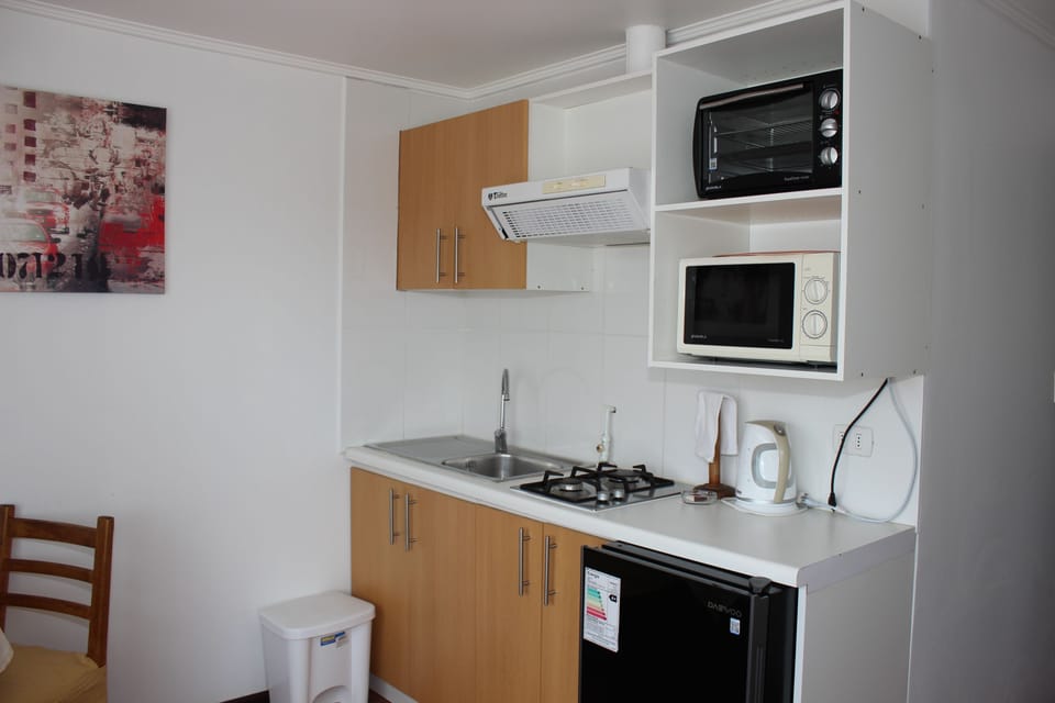 Economy Apartment, 1 Queen Bed | Private kitchen | Full-size fridge, microwave, stovetop, toaster