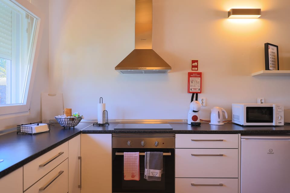 Mini-fridge, microwave, oven, stovetop