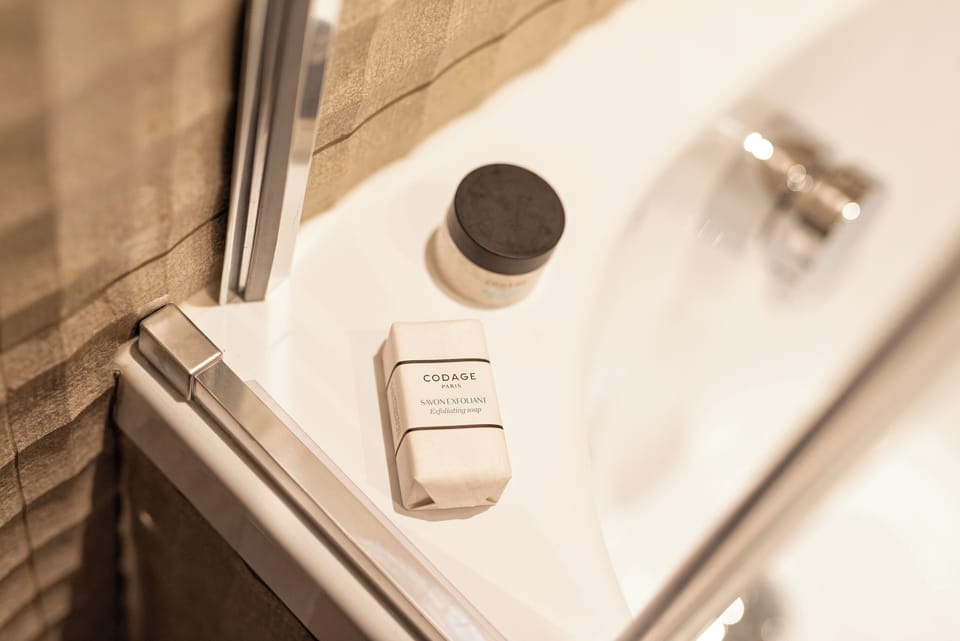Deluxe Double Room | Bathroom | Rainfall showerhead, designer toiletries, hair dryer, bathrobes