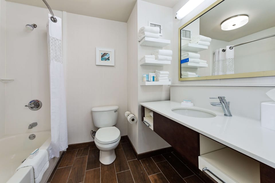 Combined shower/tub, free toiletries, hair dryer, towels
