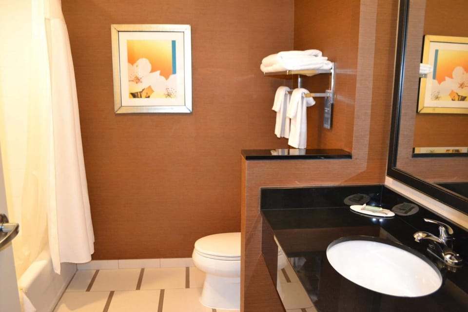 Combined shower/tub, free toiletries, hair dryer, towels