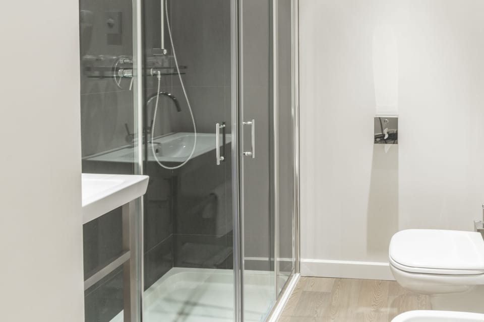 Shower, free toiletries, hair dryer, bidet