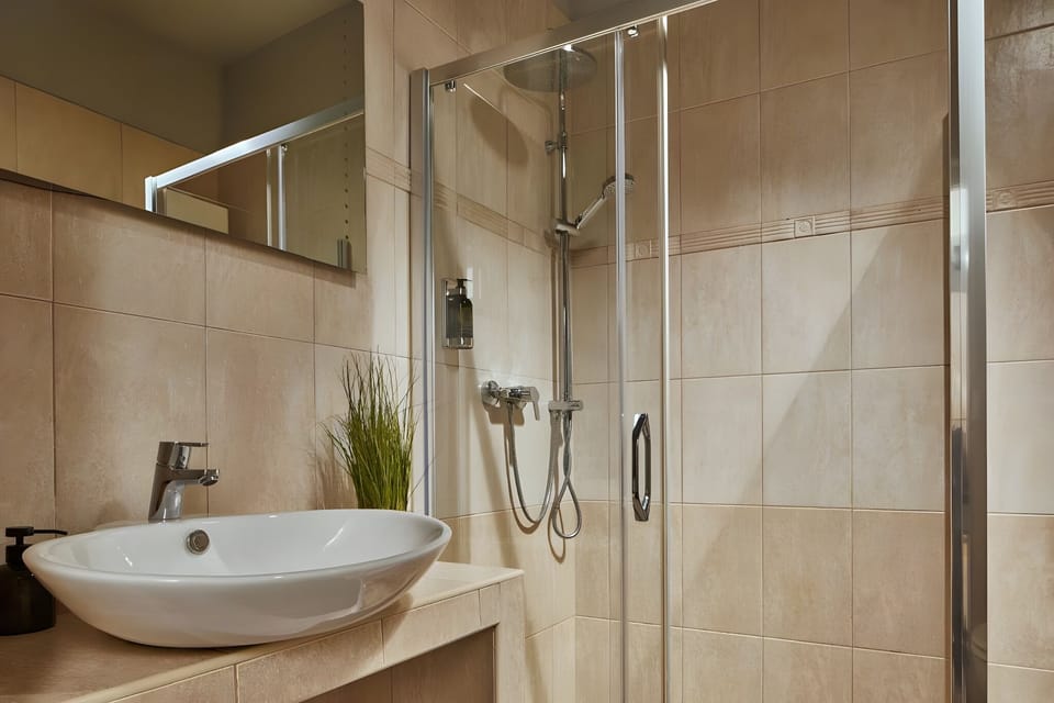 Deluxe Apartment | Bathroom | Shower, free toiletries, towels