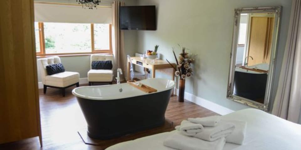 Room, Bathtub - no pets allowed | In-room safe, individually decorated, individually furnished, desk