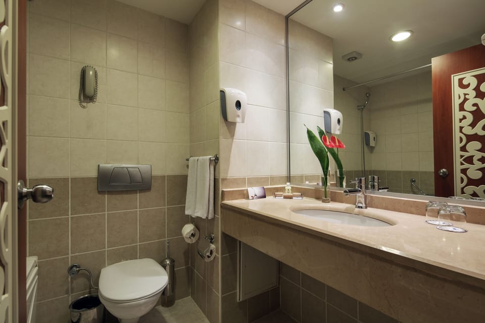 Shower, rainfall showerhead, hair dryer, slippers