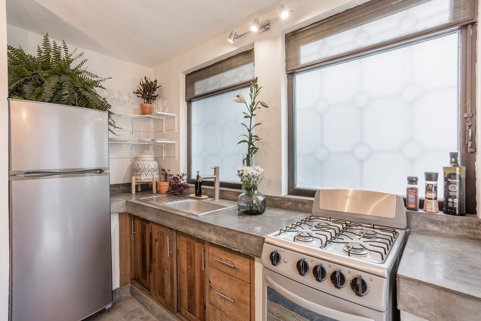 Deluxe Apartment | Private kitchen | Full-size fridge, microwave, oven, stovetop