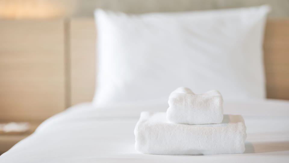 Deluxe Room | Free WiFi, bed sheets