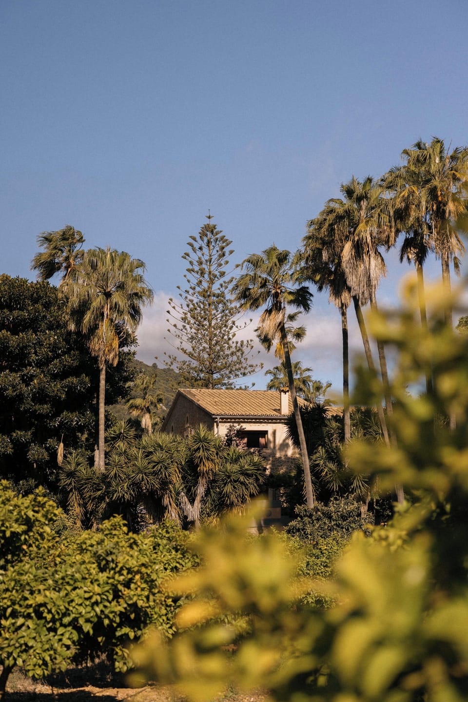 Front of property