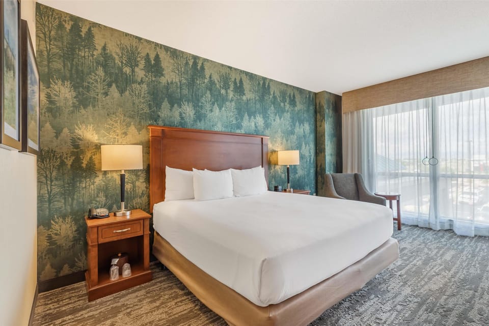 Room, 1 King Bed, Accessible (Roll in Shower) | Desk, laptop workspace, blackout drapes, iron/ironing board