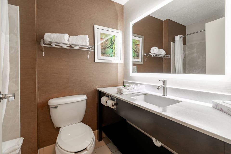 Combined shower/tub, eco-friendly toiletries, hair dryer, towels