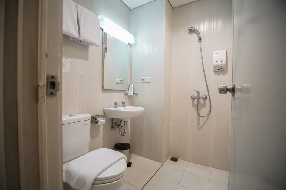 Shower, free toiletries, hair dryer, towels