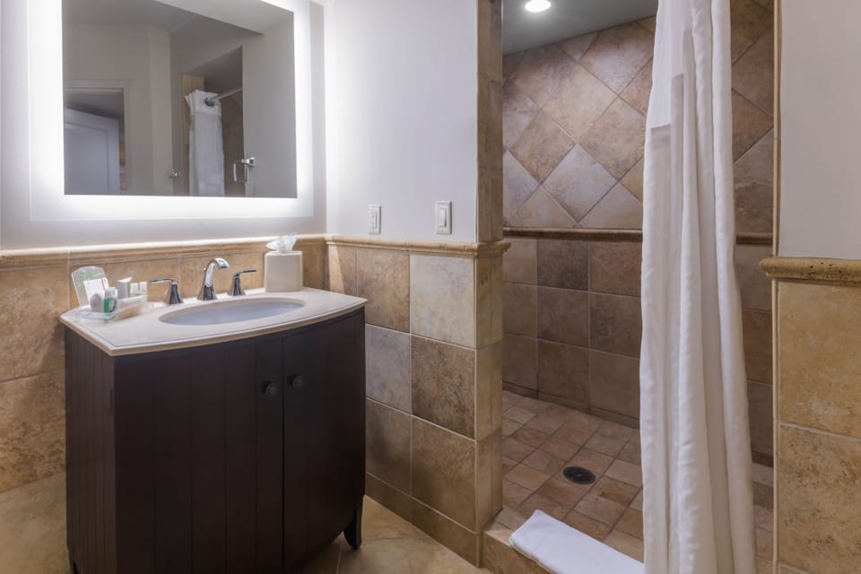 Combined shower/tub, free toiletries, hair dryer, towels
