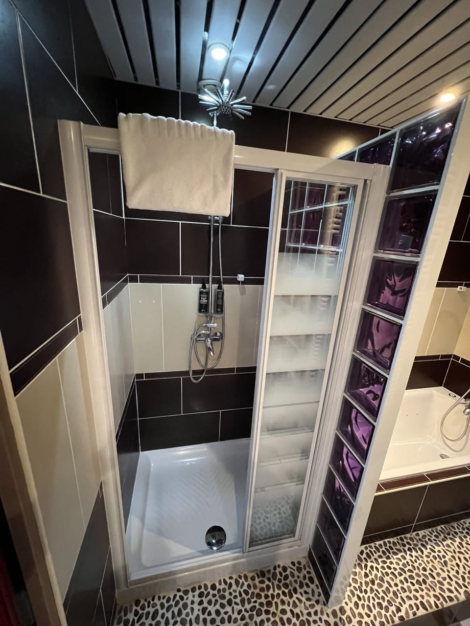 Double Room (Privilège - 1or2 persons) | Bathroom | Hair dryer, towels