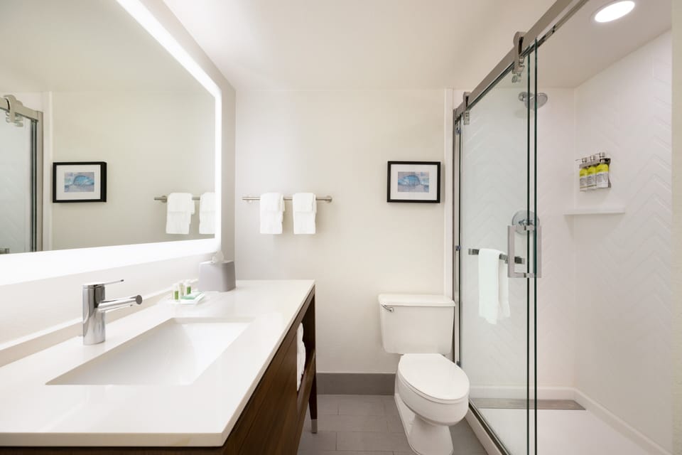 Eco-friendly toiletries, hair dryer, towels, soap