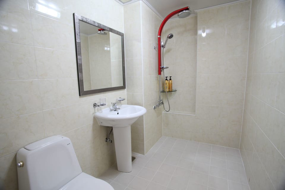 Shower, free toiletries, hair dryer, towels