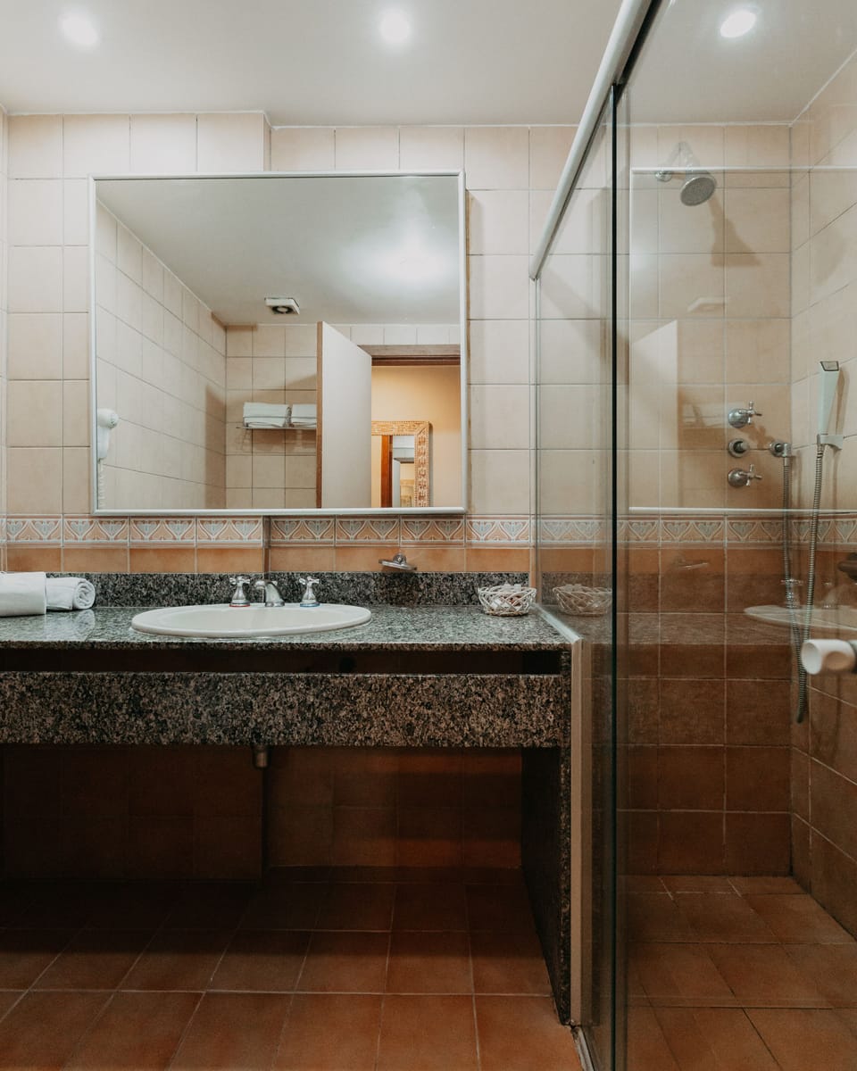 Shower, free toiletries, hair dryer, towels