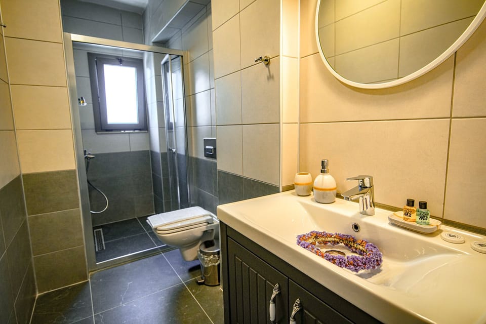 Deluxe Triple Room | Bathroom | Shower, rainfall showerhead, free toiletries, hair dryer
