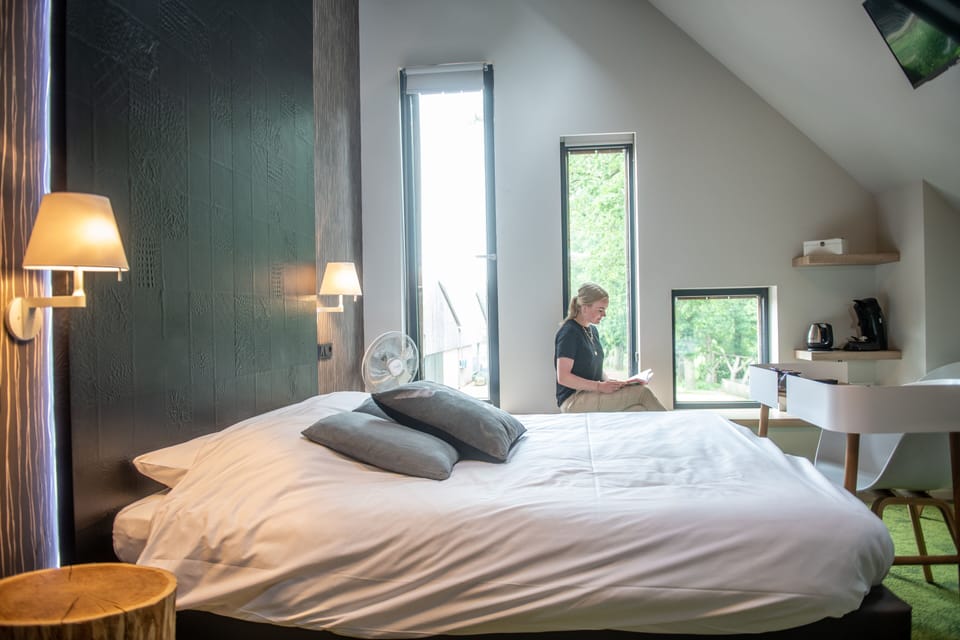 Deluxe Room | Desk, blackout drapes, soundproofing, rollaway beds