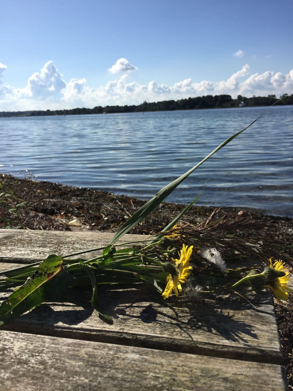 Fishing