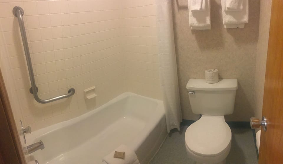 Combined shower/tub, free toiletries, hair dryer, towels