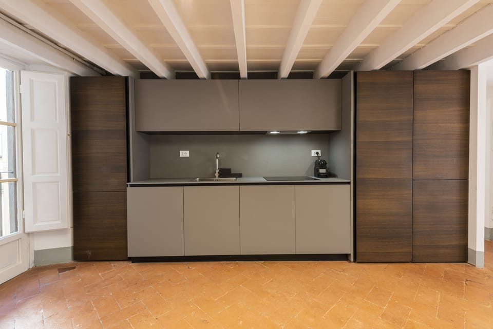 Deluxe Apartment | Private kitchen | Fridge, microwave, stovetop, dishwasher