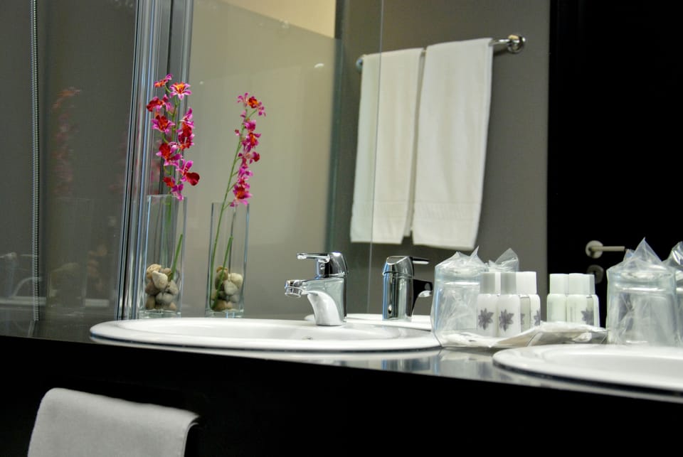 Free toiletries, hair dryer, towels