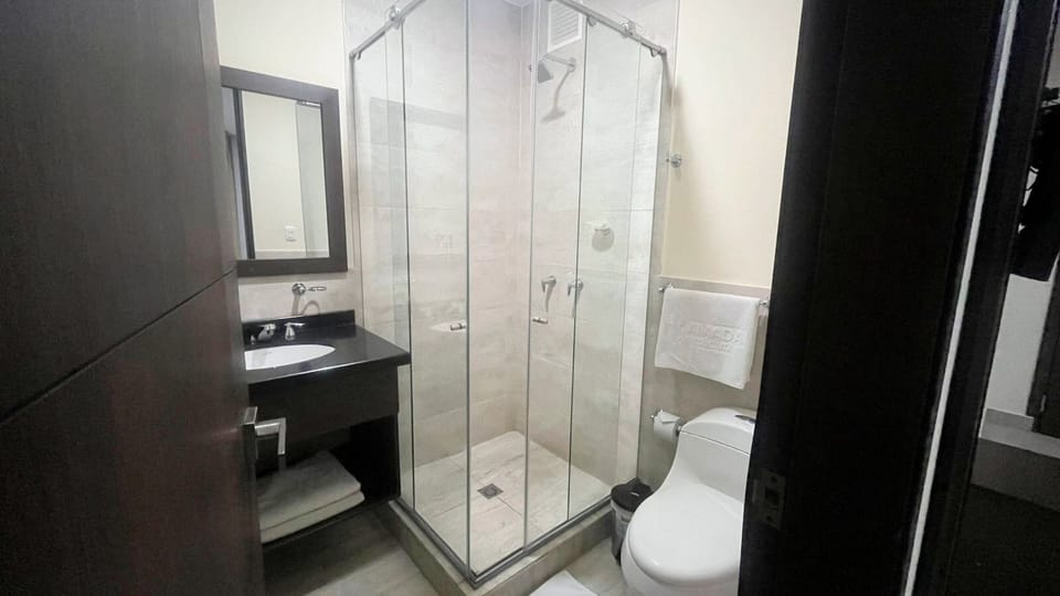 Basic Room | Bathroom | Shower, towels
