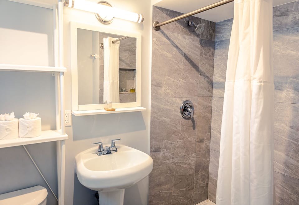 Hair dryer, towels, soap, shampoo