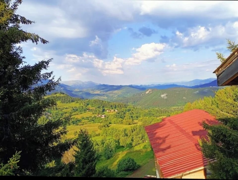 Apartment | 1 bedroom, minibar, free WiFi