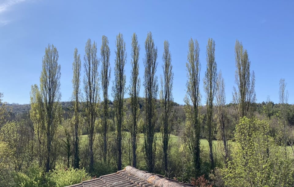 Standard Triple Room, Ensuite, Courtyard View | View from property